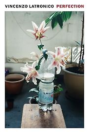 Perfection by Vincenzo Latronico, translated by Sophie Hughes Perfection by Vincenzo Latronico, translated by Sophie Hughes