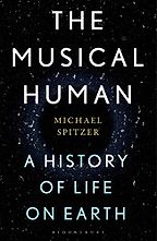 The best books on Sound - The Musical Human: A History of Life on Earth by Michael Spitzer