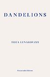 Dandelions by Thea Lenarduzzi