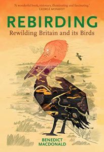 The Best Conservation Books of 2020 - Rebirding: Rewilding Britain and Its Birds by Benedict Macdonald