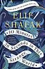 10 Minutes 38 Seconds in This Strange World by Elif Shafak