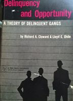 The best books on Crime and Punishment - Delinquency and Opportunity by Lloyd Ohlin & Richard Cloward