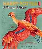 The Best Illustrated Harry Potter Books - Harry Potter: A History of Magic by British Library