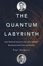 The best books on The History of Physics - The Quantum Labyrinth: How Richard Feynman and John Wheeler Revolutionized Time and Reality by Paul Halpern The best books on The History of Physics - The Quantum Labyrinth: How Richard Feynman and John Wheeler Revolutionized Time and Reality by Paul Halpern