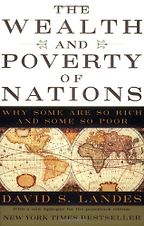 The best books on Economics - The Wealth and Poverty of Nations by David S Landes The best books on Economics - The Wealth and Poverty of Nations by David S Landes