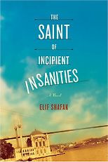 The best books on Turkey - The Saint of Incipient Insanities by Elif Shafak