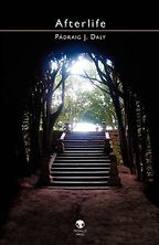The best books on Poetry - Afterlife by Pádraig J Daly The best books on Poetry - Afterlife by Pádraig J Daly