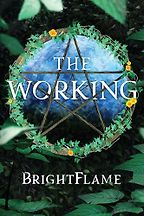 The Best Solarpunk Books - The Working by Brightflame
