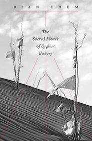 The best books on Minority Survival in China - The Sacred Routes of Uyghur History by Rian Thum