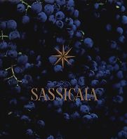 Sassicaia : The Original Super Tuscan by Marco Fini Sassicaia : The Original Super Tuscan by Marco Fini