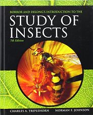 The best books on Bugs - Introduction to the Study of Insects by Charles Triplehorn and Norman F Johnson