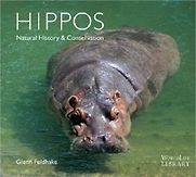 Hippos by Glenn Feldhake Hippos by Glenn Feldhake