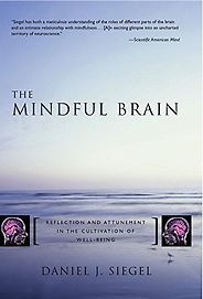 The best books on Mindfulness - The Mindful Brain: Reflection and Attunement in the Cultivation of Well-Being by Daniel Siegel The best books on Mindfulness - The Mindful Brain: Reflection and Attunement in the Cultivation of Well-Being by Daniel Siegel