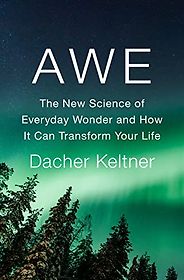 Notable Psychology and Self-Help Books of 2023 - Awe: The New Science of Everyday Wonder and How It Can Transform Your Life by Dacher Keltner
