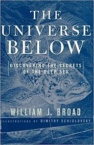 The best books on Life Below the Surface of the Earth - The Universe Below by William Broad