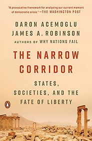 The Best Politics Books of 2020 - The Narrow Corridor: States, Societies, and the Fate of Liberty by Daron Acemoglu and James Robinson