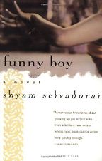 The best books on Teenage Misadventure - Funny Boy 